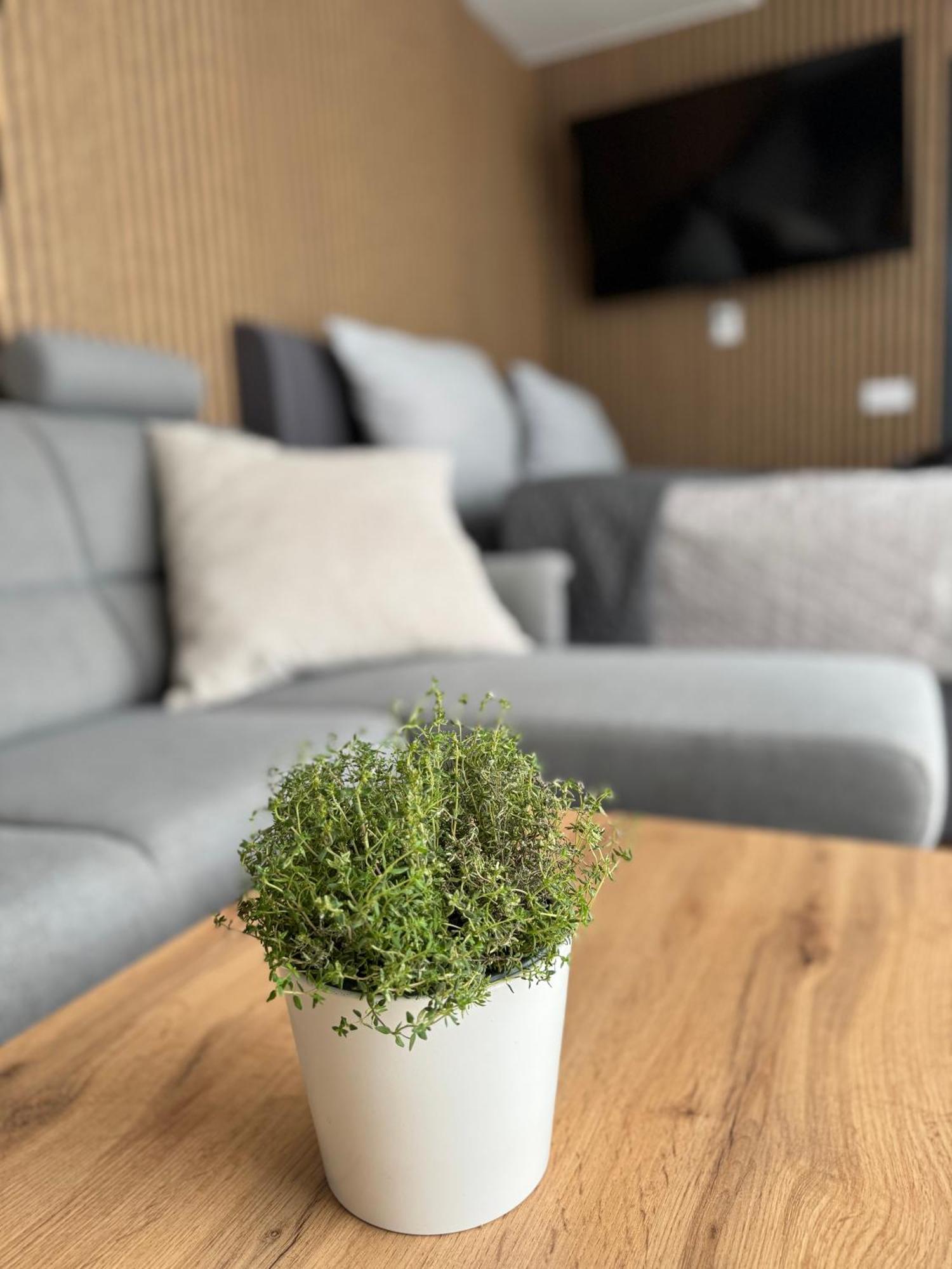 Airport Luxury & Apartment